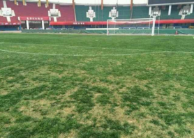 zhongchao2